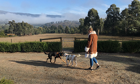 picture of suz and her dogs